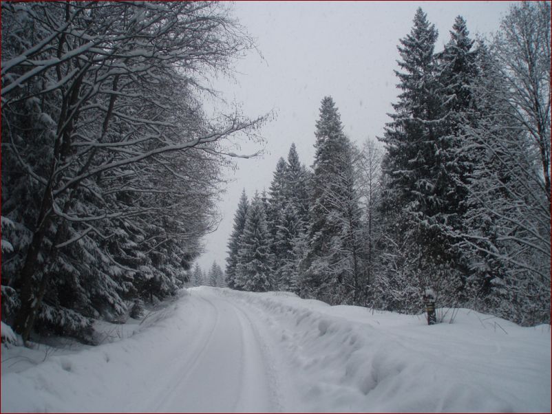 cesta na Jur��ov� d.